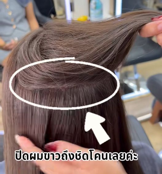 Paplean Salon - ผมขาวขึ้นเยอะ ต้องคอยเติมโคนปิดผมขาวอยู่บ่อยๆ แนะนำซีโร่เทคนิคเลยนะคะ